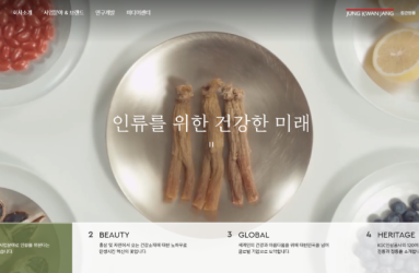 한국인삼공사.png